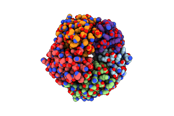 1CHP image