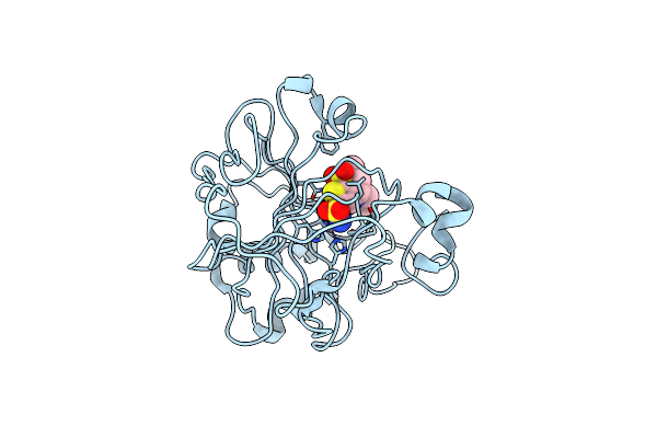 1CIL image