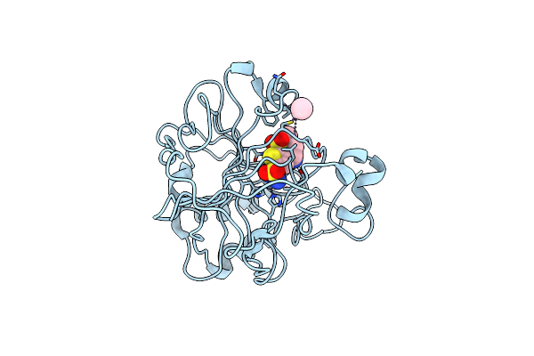1CIM image