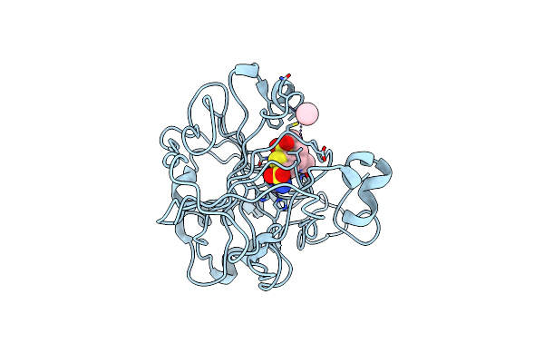 1CIN image