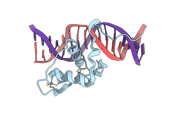 1CIT image