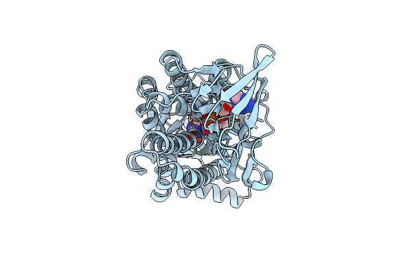 1CJ2 image