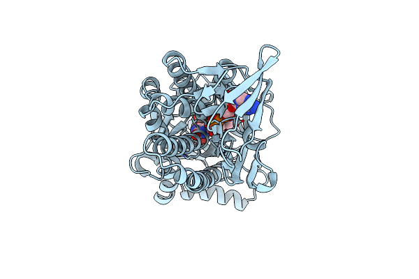 1CJ4 image