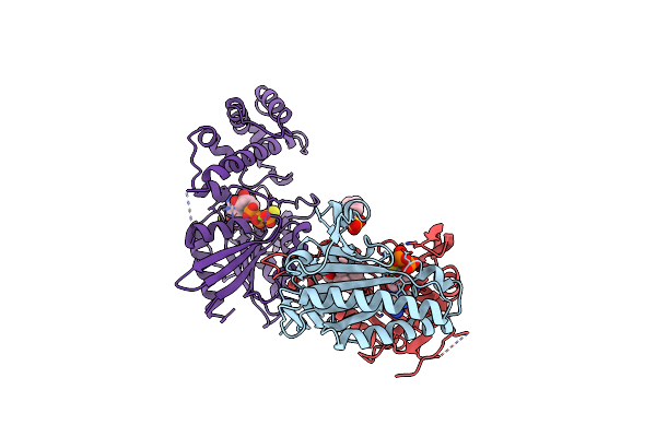 1CJK image