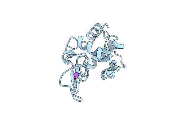 1CKD image