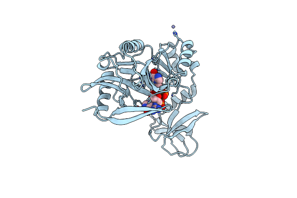 1CKO image
