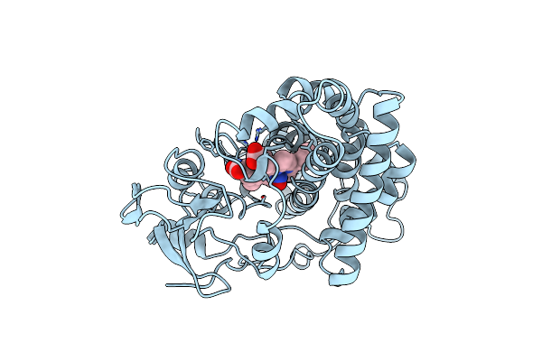 1CL6 image