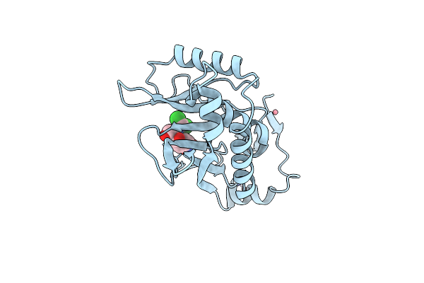 1CLA image