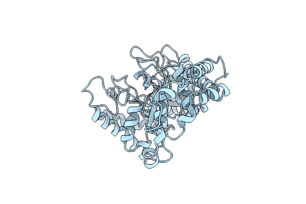 1CLK image
