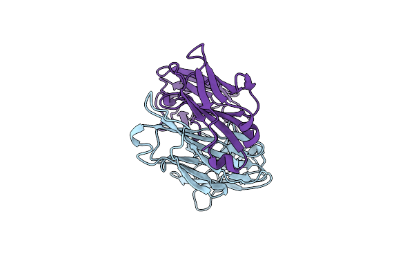 1CLO image