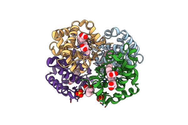 1CLS image