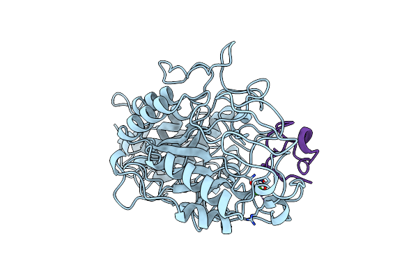 1CLV image