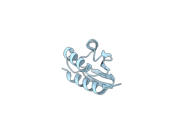 1CM2 image