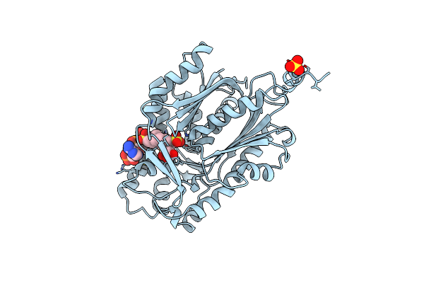 1CML image