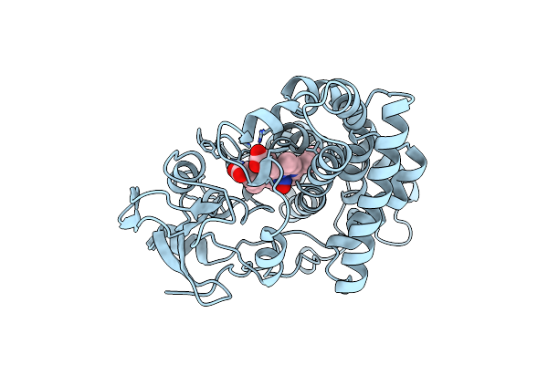 1CMN image