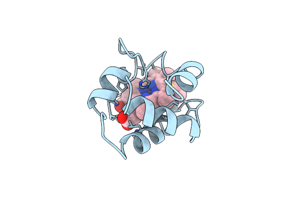1COR image
