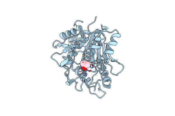 1CP6 image