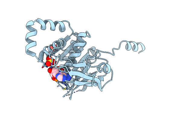 1CR2 image