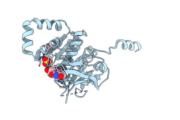 1CR4 image