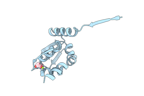 1CS3 image