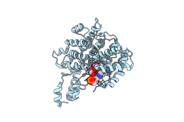 1CSI image