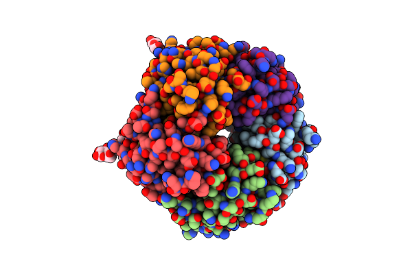 1CT1 image