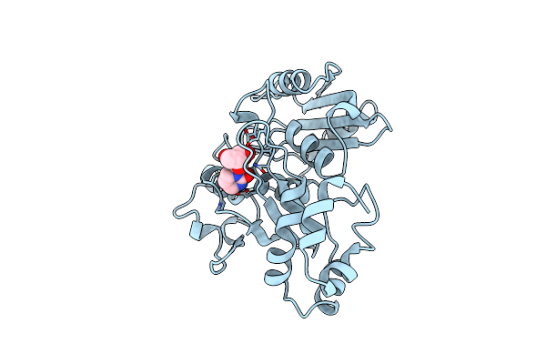 1CTU image