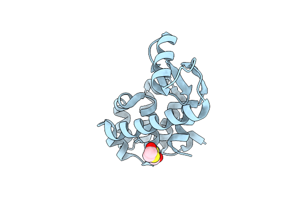 1CTW image