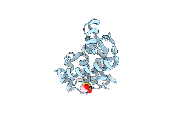1CUP image