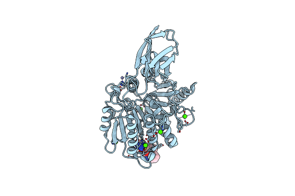 1CVR image