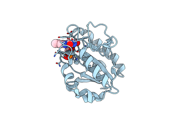 1D04 image