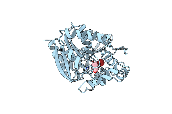 1D07 image