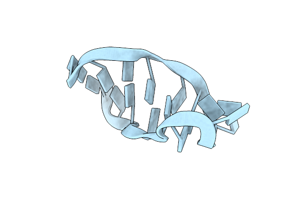 1D16 image