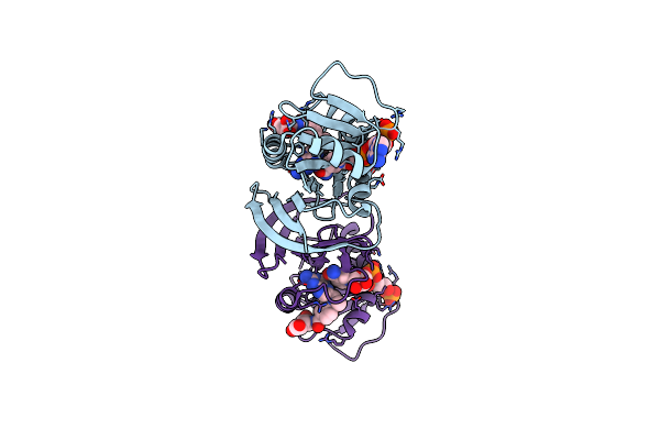 1D1G image