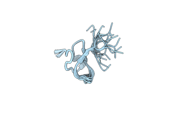 1D1H image