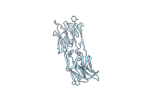 1D2P image