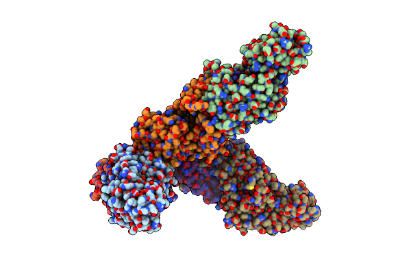 1D2R image