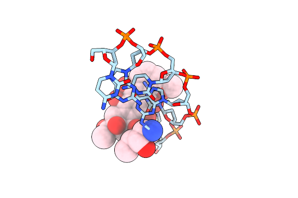 1D33 image