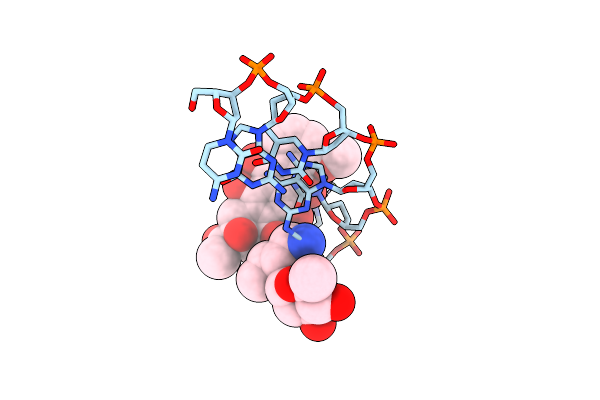 1D35 image