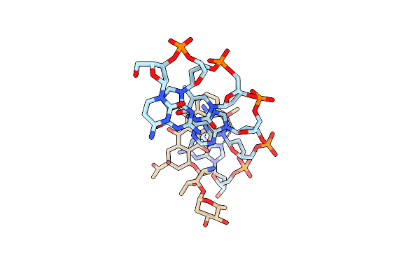 1D36 image