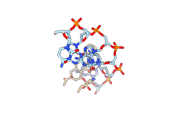 1D38 image