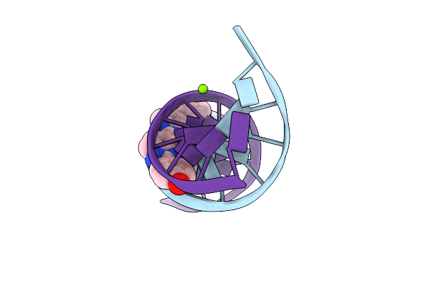 1D45 image