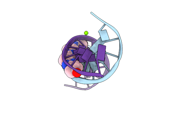1D46 image