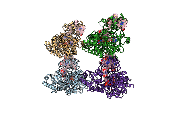 1D4C image