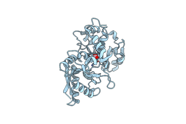 1D4N image