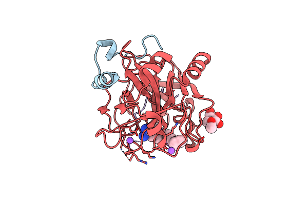 1D4P image