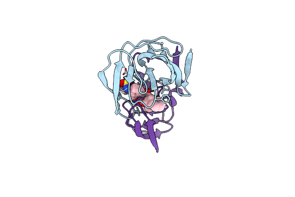 1D4S image