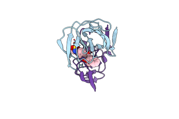 1D4Y image