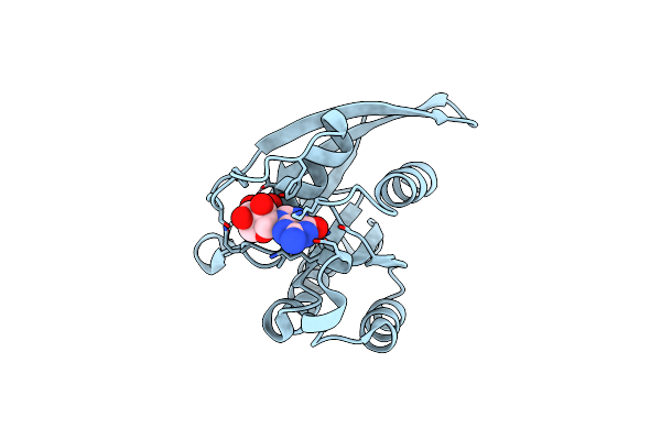 1D5C image