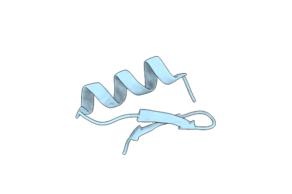 1D5Q image